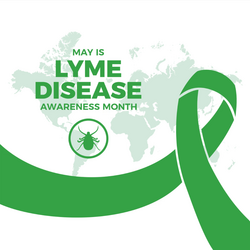Lyme Disease Awareness Month