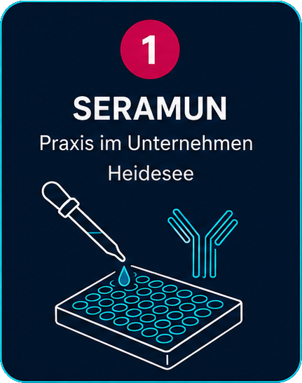 1: SERAMUN - Praxis im Unternehmen - Heidesee